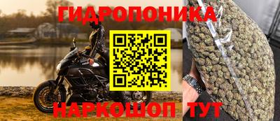 тгк Новокубанск