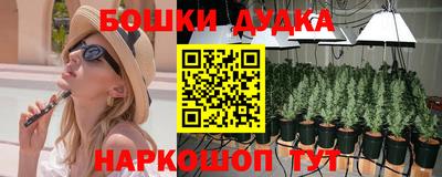 скорость Новозыбков