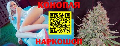 скорость Новозыбков