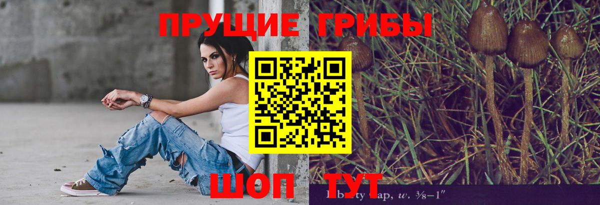 где найти наркотики  Псилоцибиновые грибы Psilocybe  Тимашёвск  Вход с VPN  Галлюциногенные грибы мицелий 