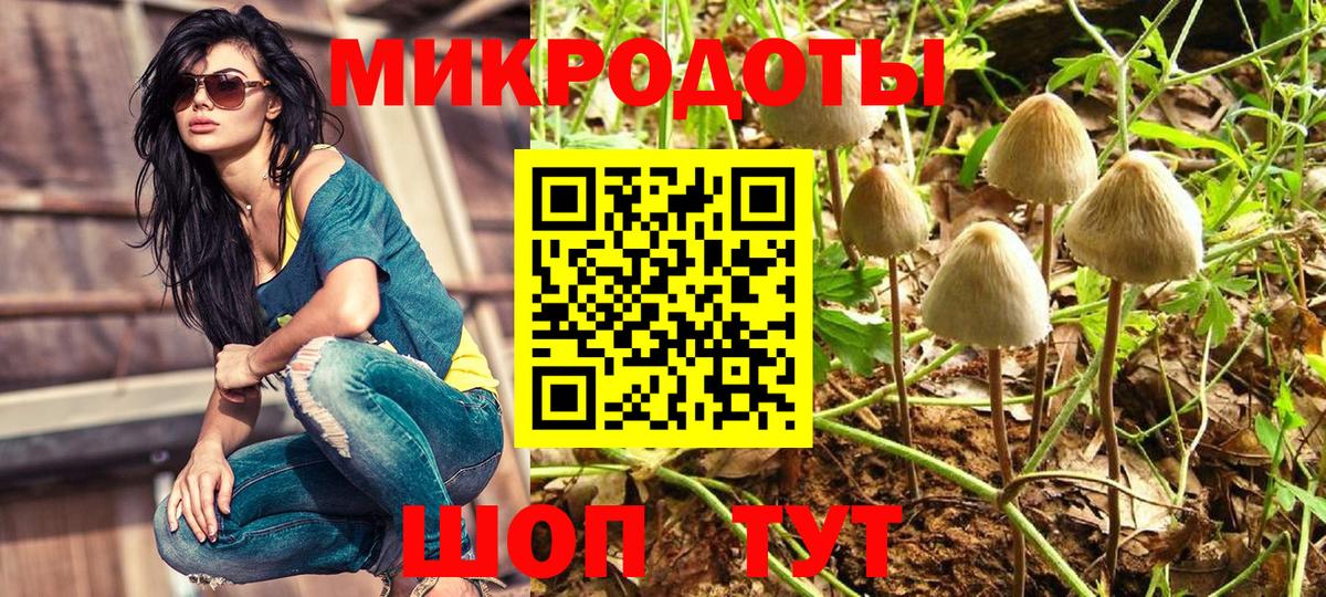 Галлюциногенные грибы MAGIC MUSHROOMS Тимашёвск